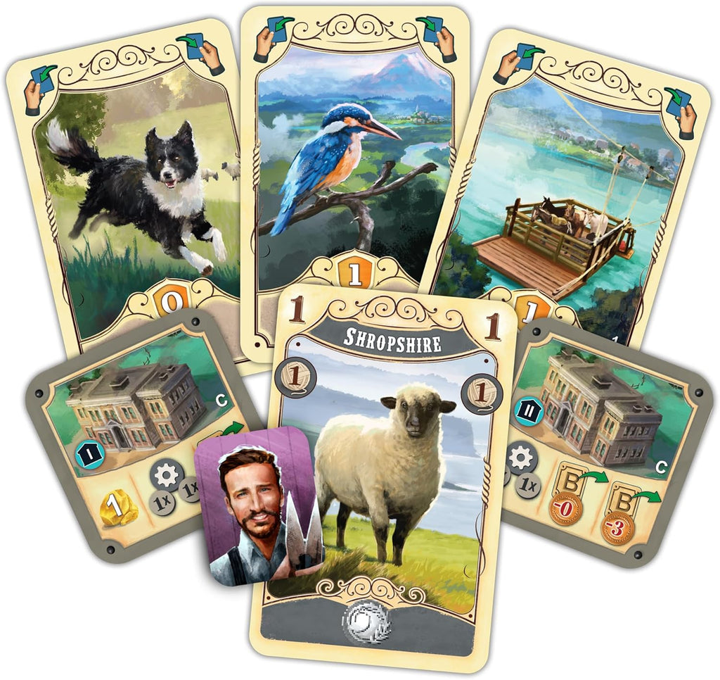 Plan B Games Great Western Trail New Zealand board game card presentations