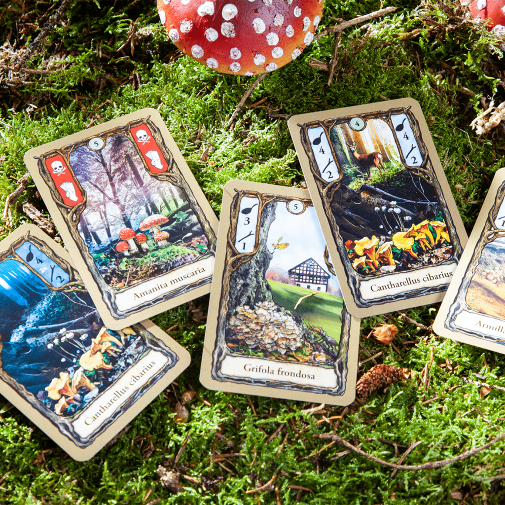 Pegasus Spiele Fungi cards in the nature